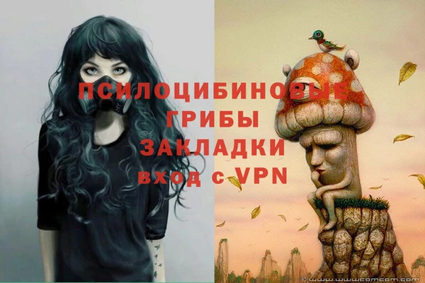 наркотики Алексин
