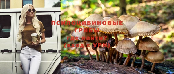 МДМА Алексеевка