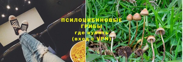 наркотики Алексин