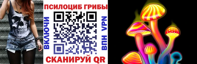 Купить закладки  Азнакаево  Псилоцибиновые грибы Psilocybe 