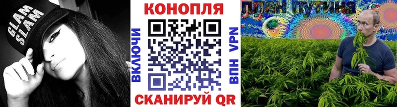 Марихуана конопля  Купить где  Азнакаево 